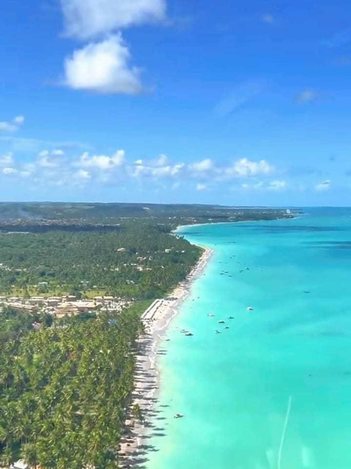Vista aérea do mar azul-turquesa e do coqueiral de Maragogi